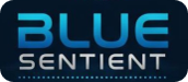 Blue Sentient Solutions